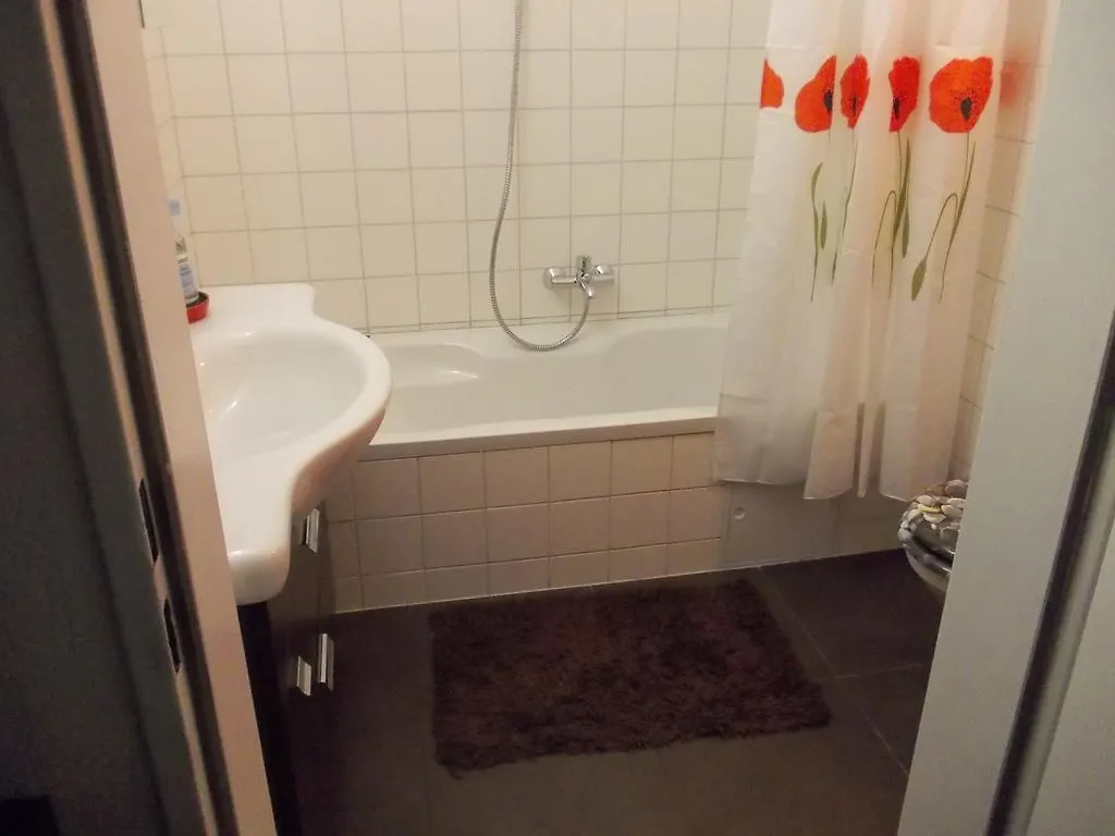 Apartment Fewo-Rosenheim Im Zentrum Mit Kostenlosem Parkplatz